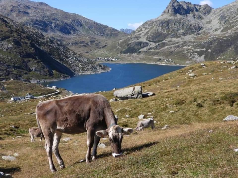 Mansarda Vista Lago A Campodolcino Appartement Buitenkant foto